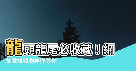 龍頭 龍尾|韓網友激推！「龍頭龍尾」超高評價韓劇神作推薦， 「她」更是。